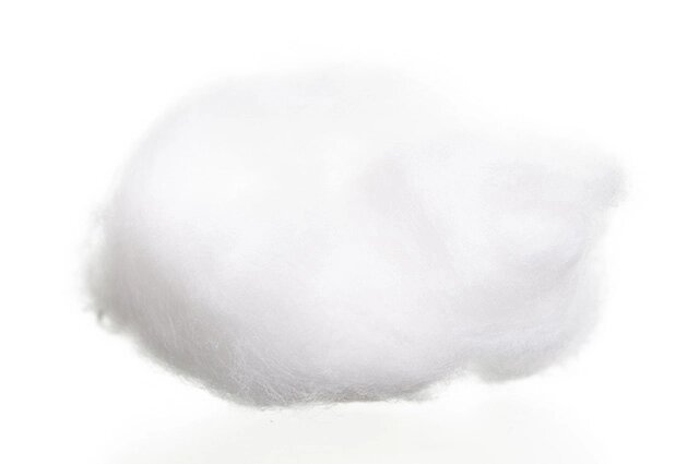    Фото: istockphoto.com