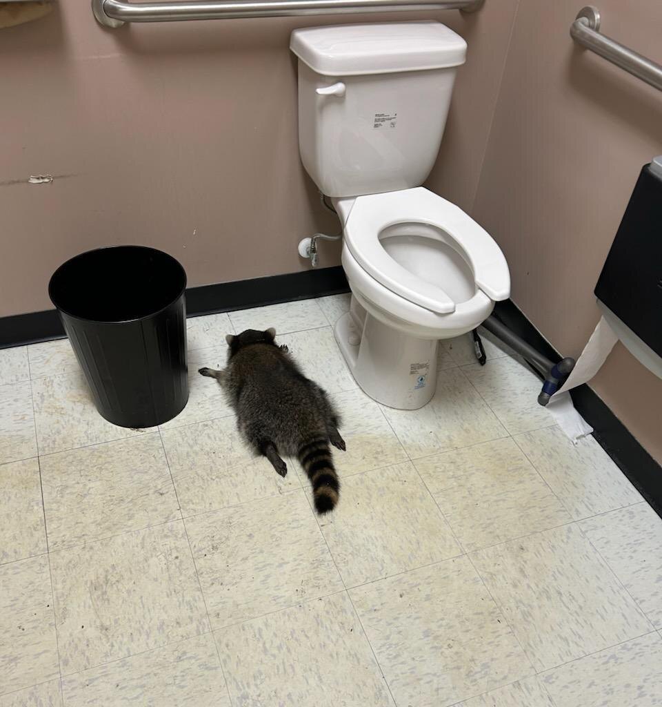 как сладок сон. Фото тг каналы