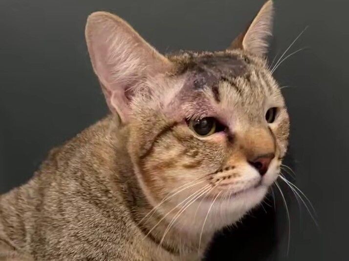     / Источник: Кадр из видео