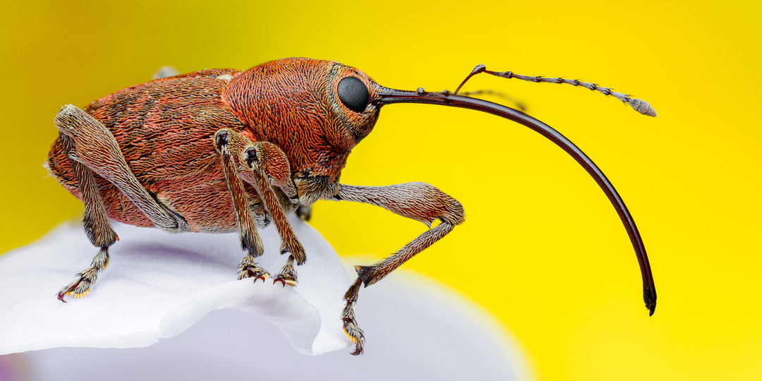 Сезон 2025. Что у меня нового и как я живу