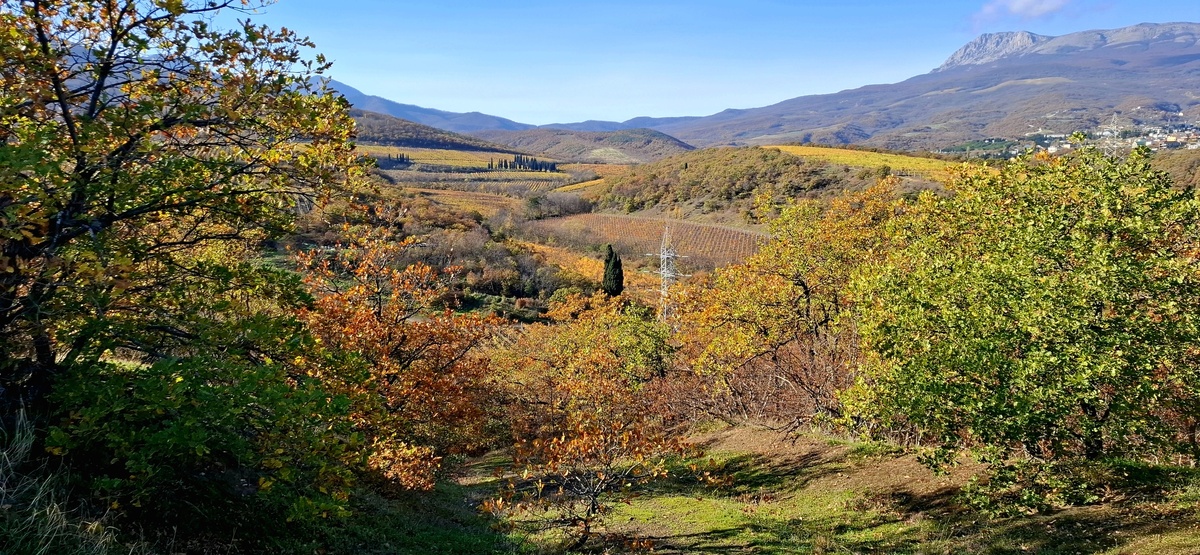 из свободных источников