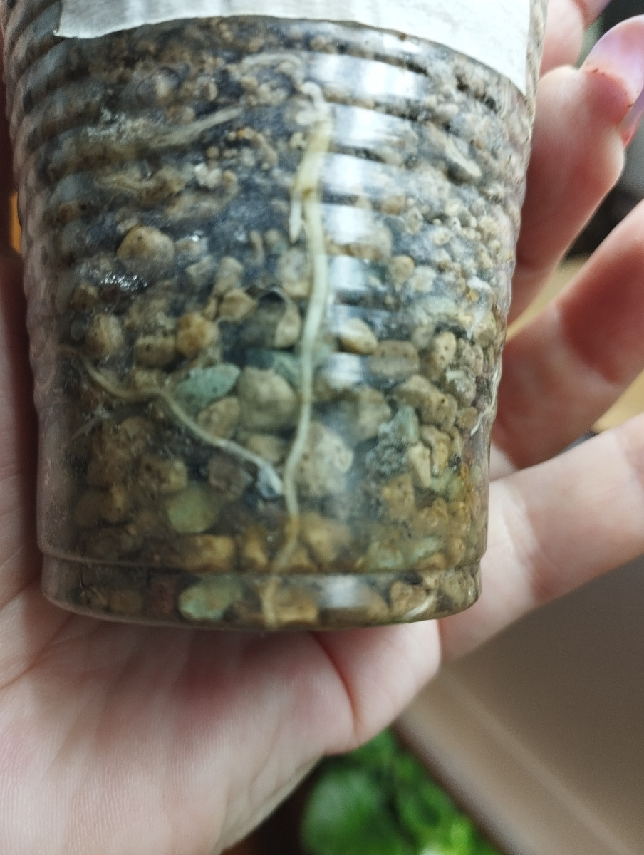 Закрытая система