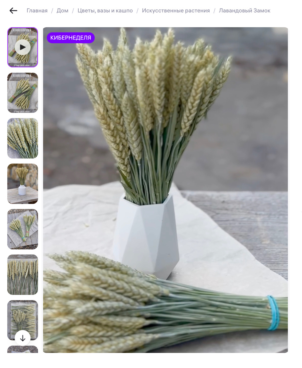 Купить пшеницу для декора и флористики "Лавандовый Замок" на маркетплейсе