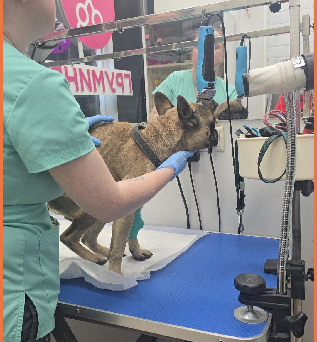 Первые сутки в клинике...