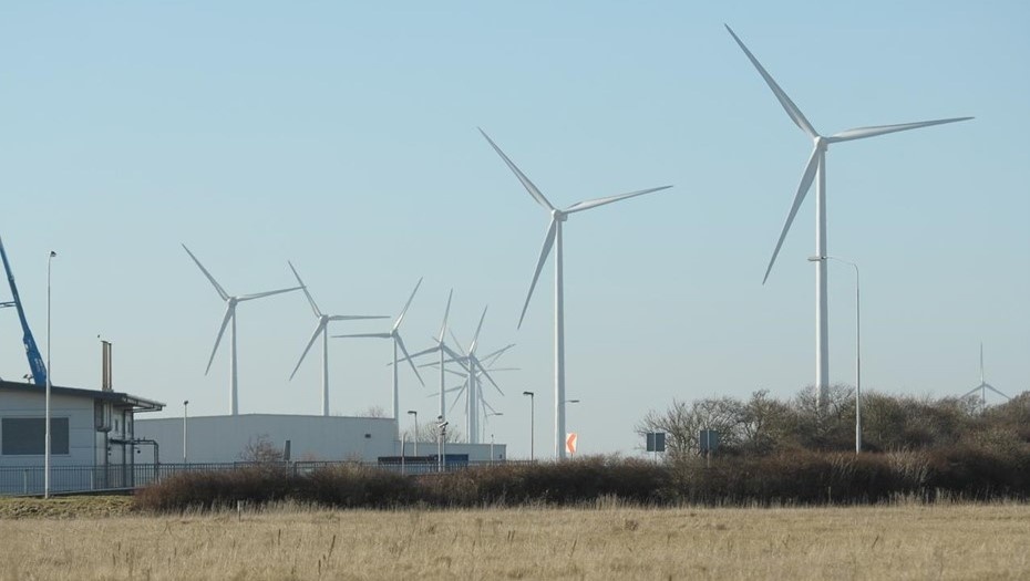 Автор фото: Сергей Вдовин / "Деловой Петербург"