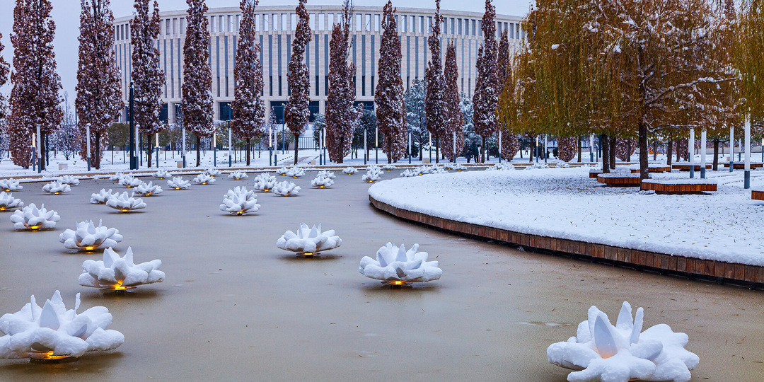 Поездка в Краснодар зимой: где погулять и вкусно поесть?