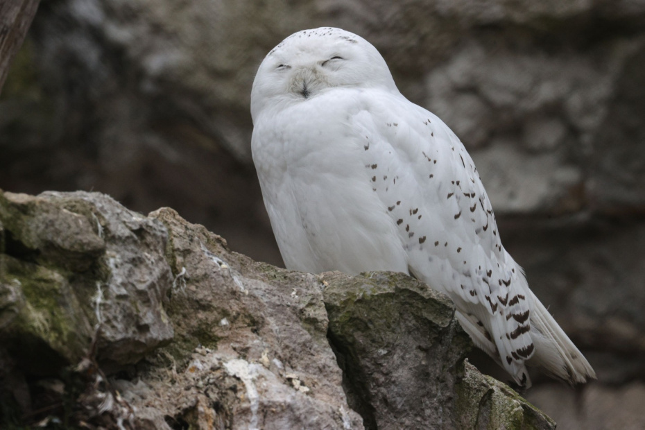    Сергей Булкин/NEWS.ru