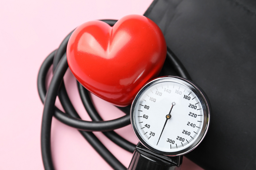 Фотобанк Лори