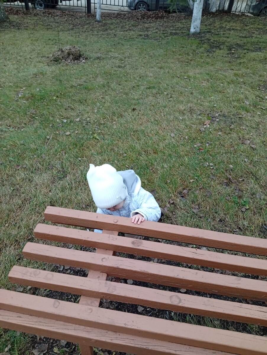 Это моё счастье. А ещё несколько не поместились в кадр.