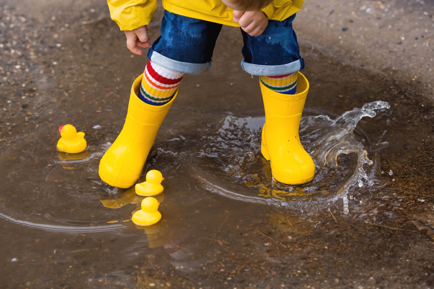 Фотобанк Лори