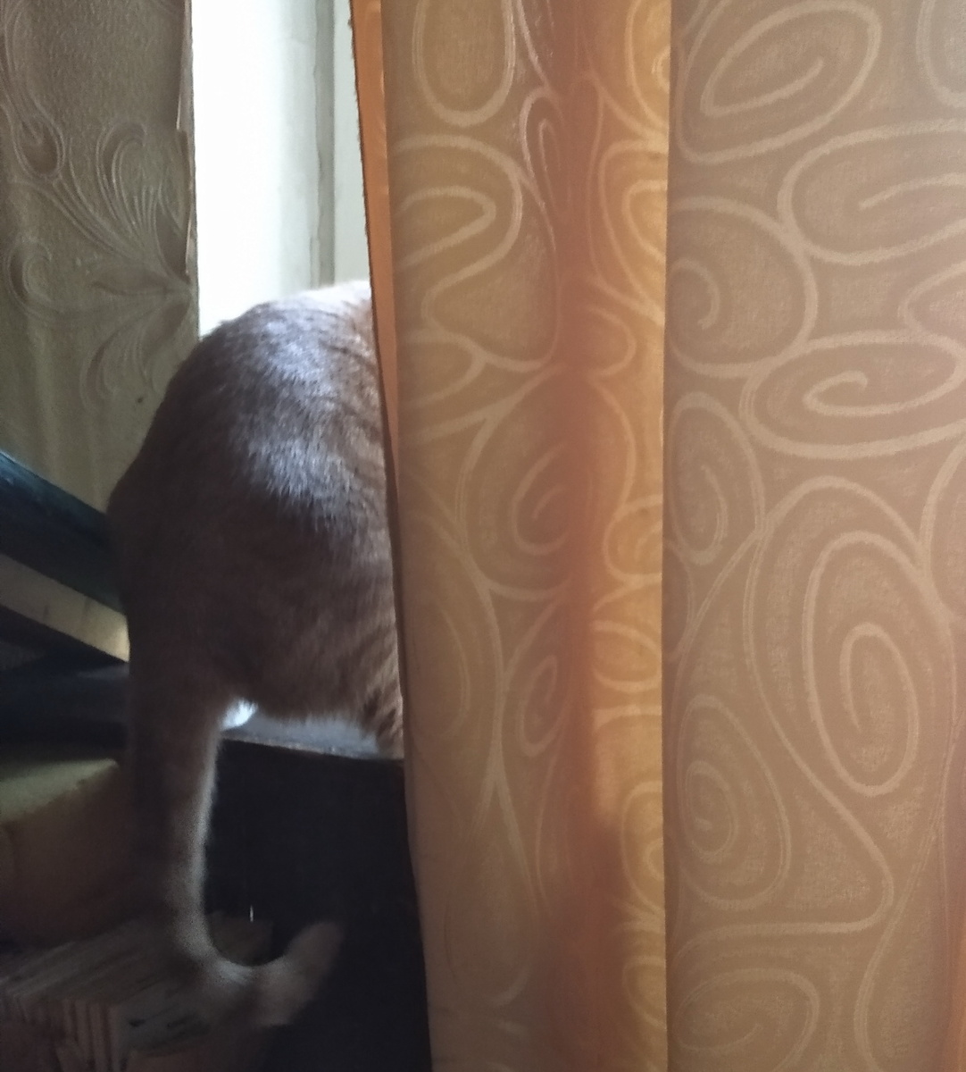 личное  фото