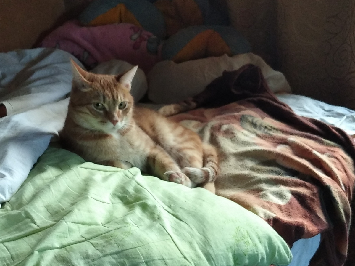 личное  фото