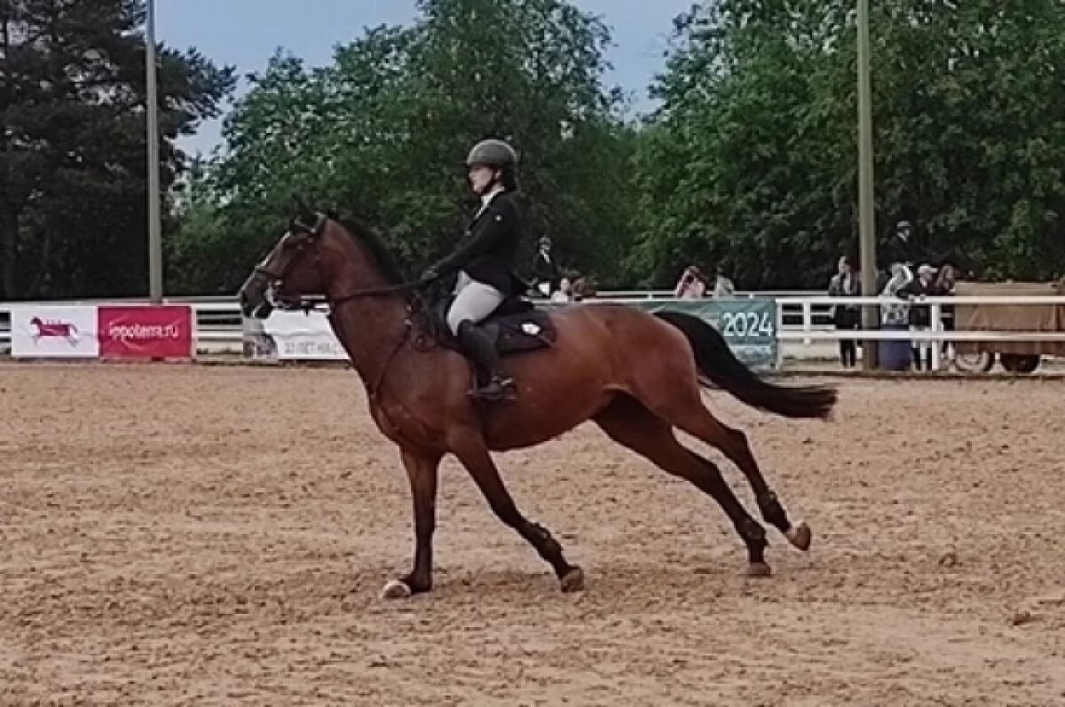    На ипподроме в Ростове начали сносить конюшни