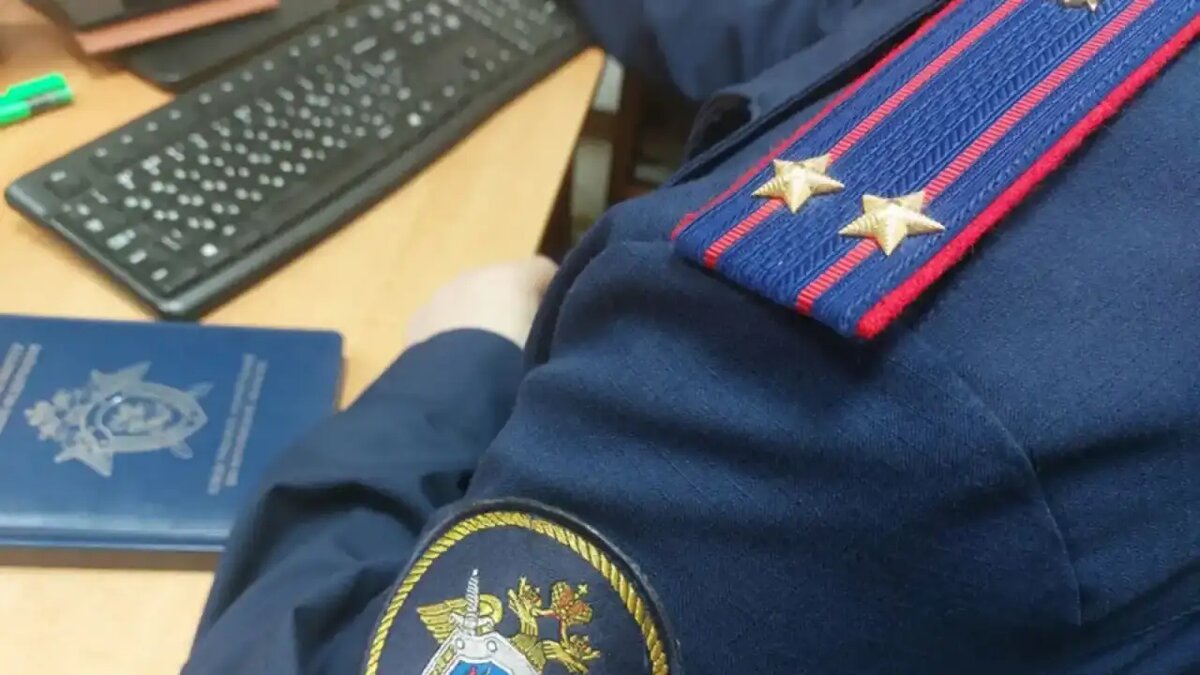    Следственный комитет России. © СК РФ