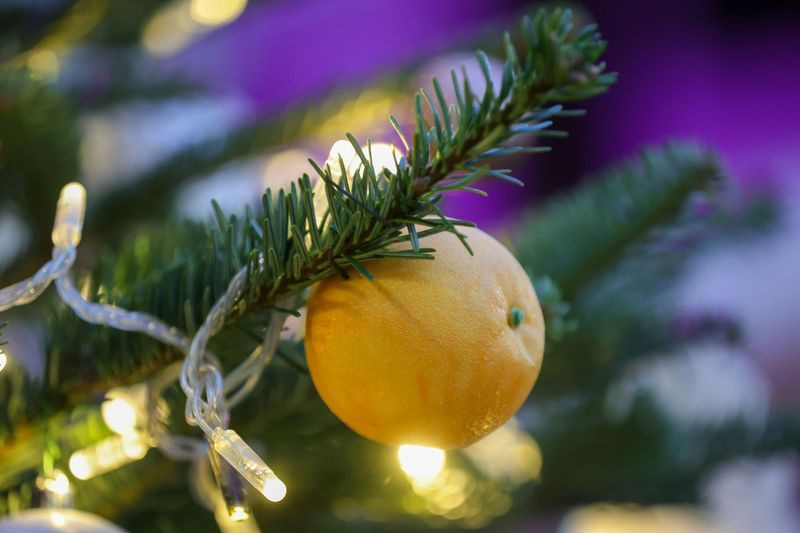    Наталья Шатохина/NEWS.ru