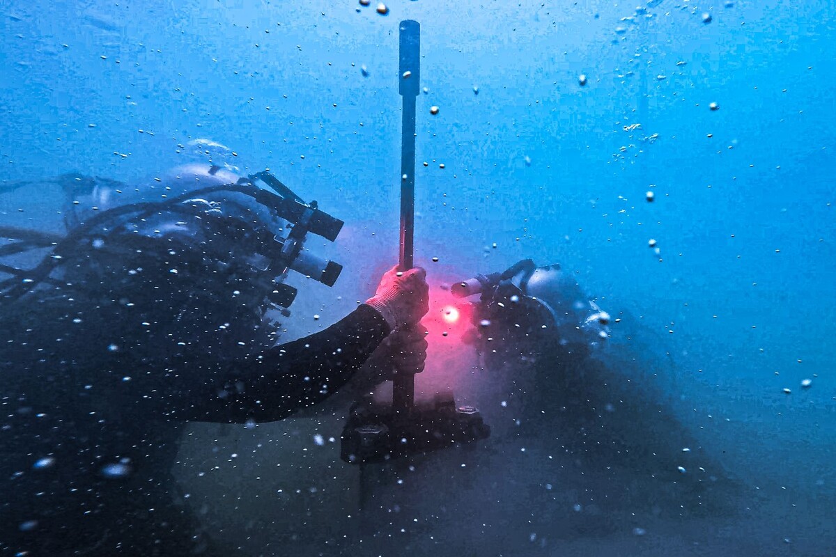     / Источник: © Global Look Press