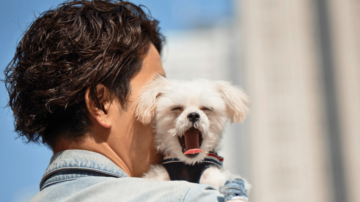 Скучно? Не нравится? Давайте не будем торопиться с выводами и посмотрим на происходящее чуть шире. Фото monzenmachi/iStock