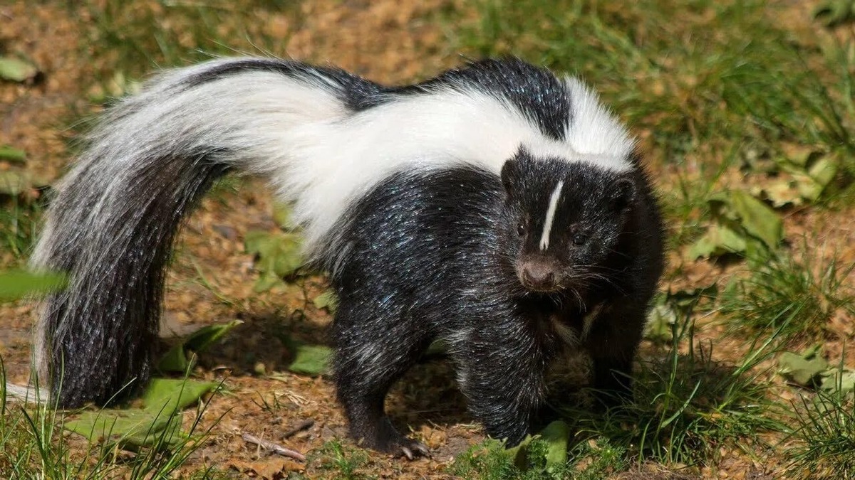 Фотография из интернета