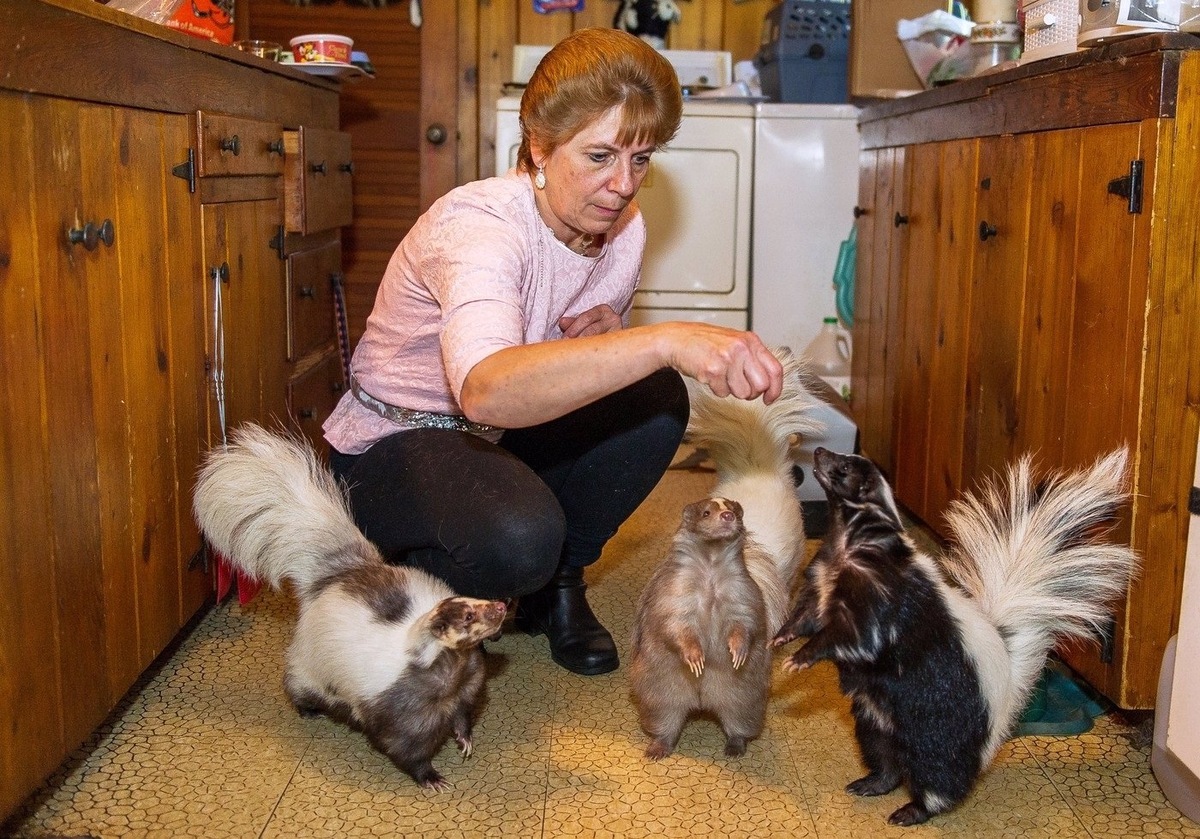 Фотография из интернета