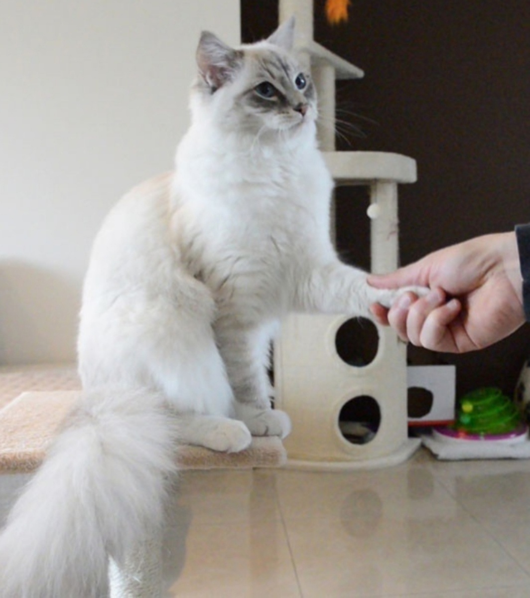 Фото из интернета