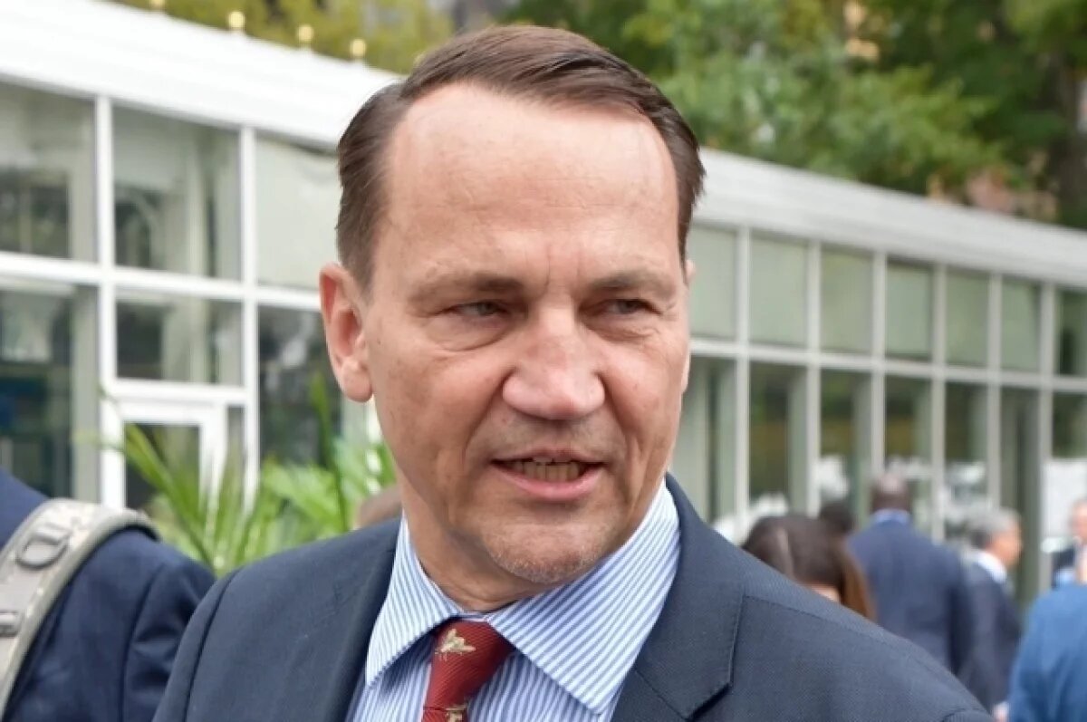    Сикорский заявил, что Совет Россия - НАТО упразднят