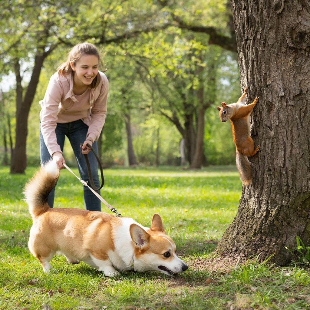 Рисунок создан с помощью нейросети GigaChat