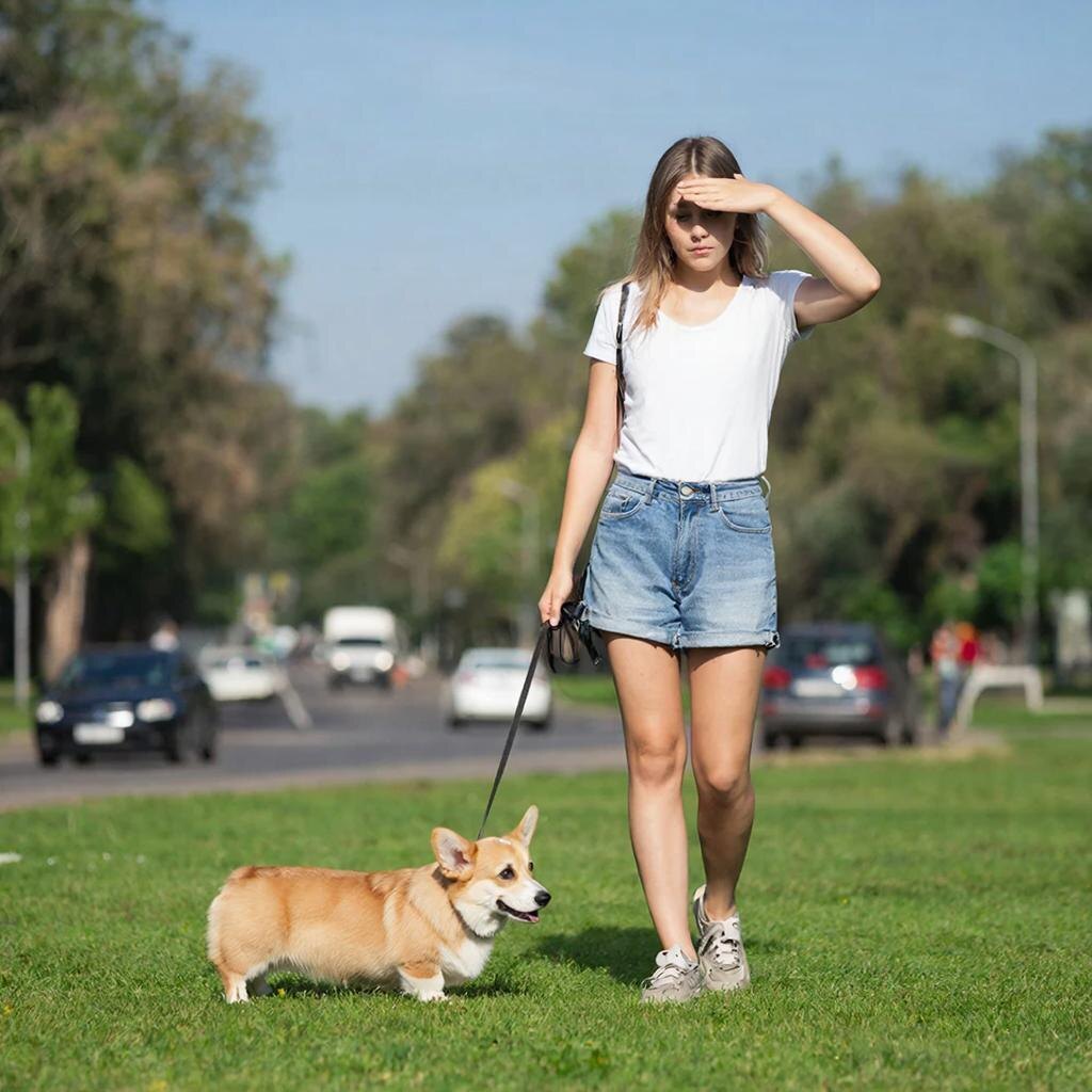 "Рисунок создан с помощью нейросети GigaChat "