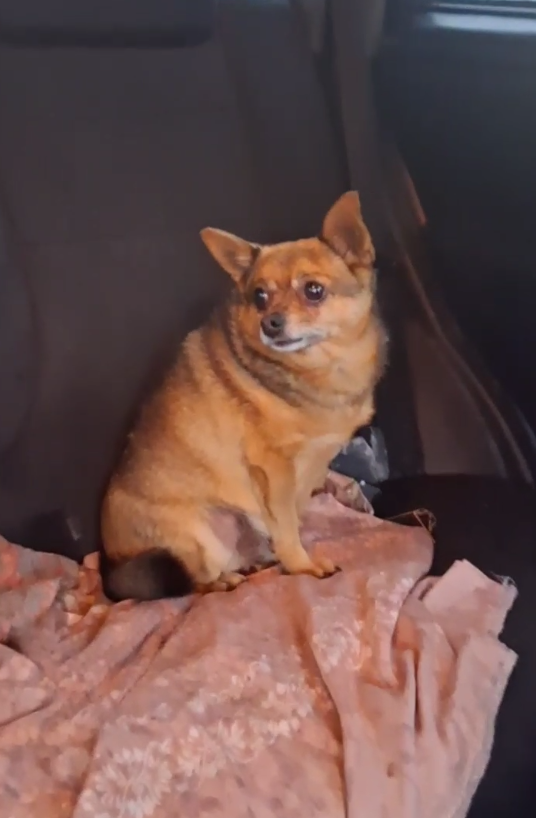 Ночь пережили, утром поехали в больницу