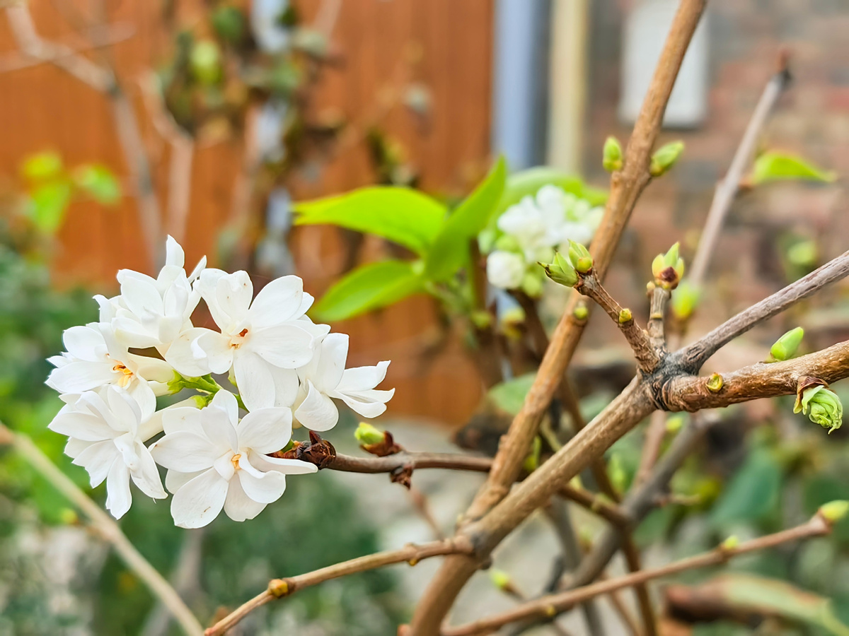 Фото автора канала