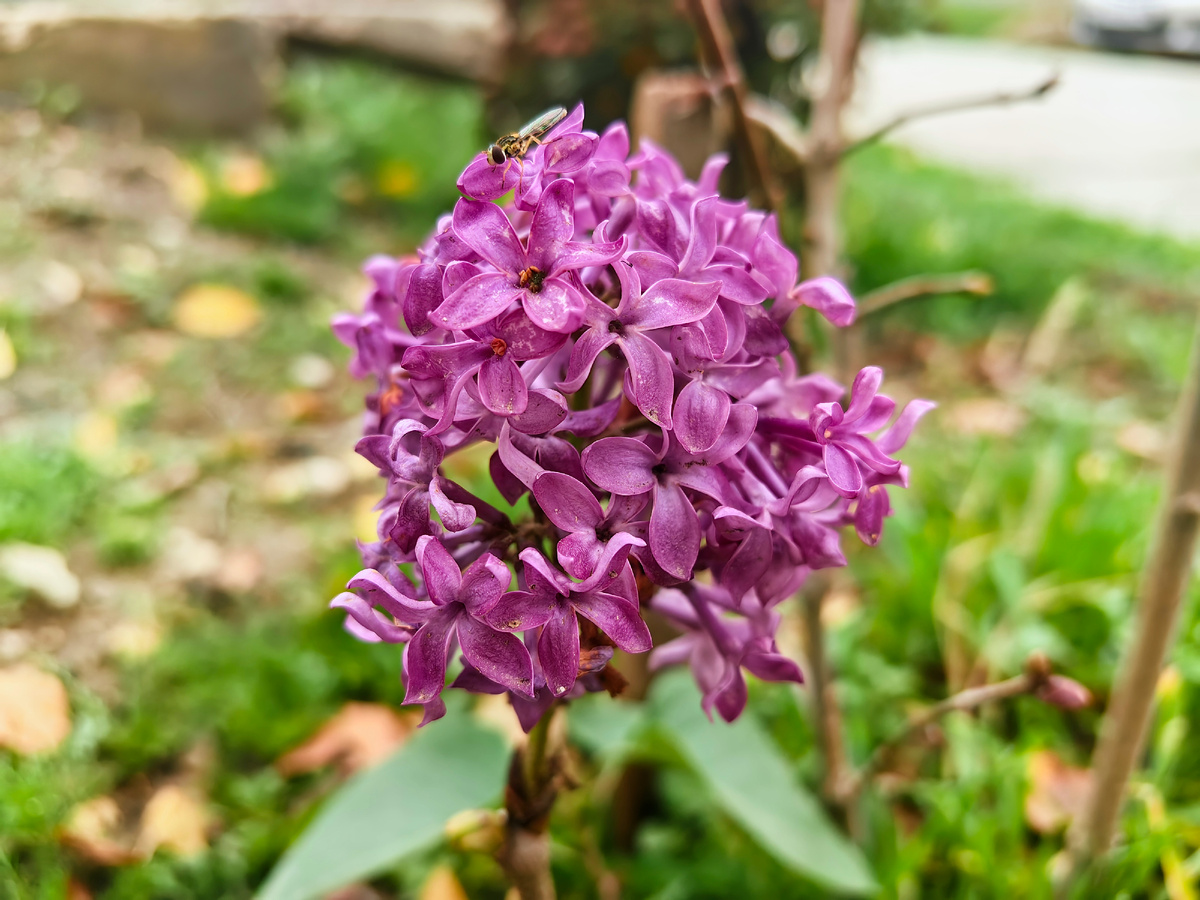 Фото автора канала