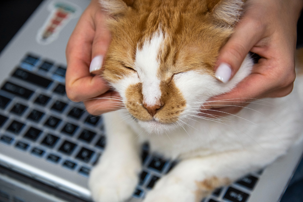 Обнимайтесь!