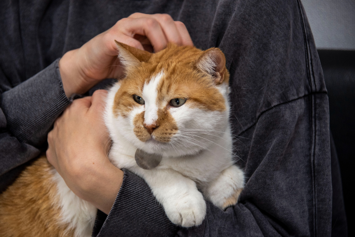 Мое выражение морды, когда обнимают 100-й раз.