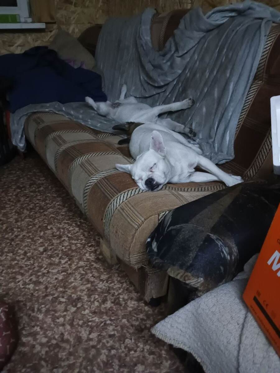 Дося спит, она устала).