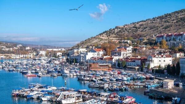    © Telegram Михаил Развожаев