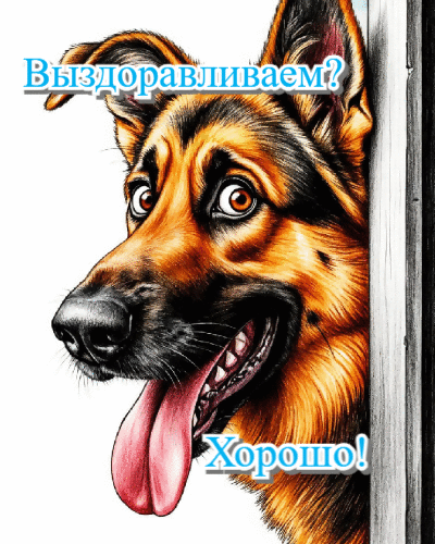 Выздоравливаем? Хорошо.