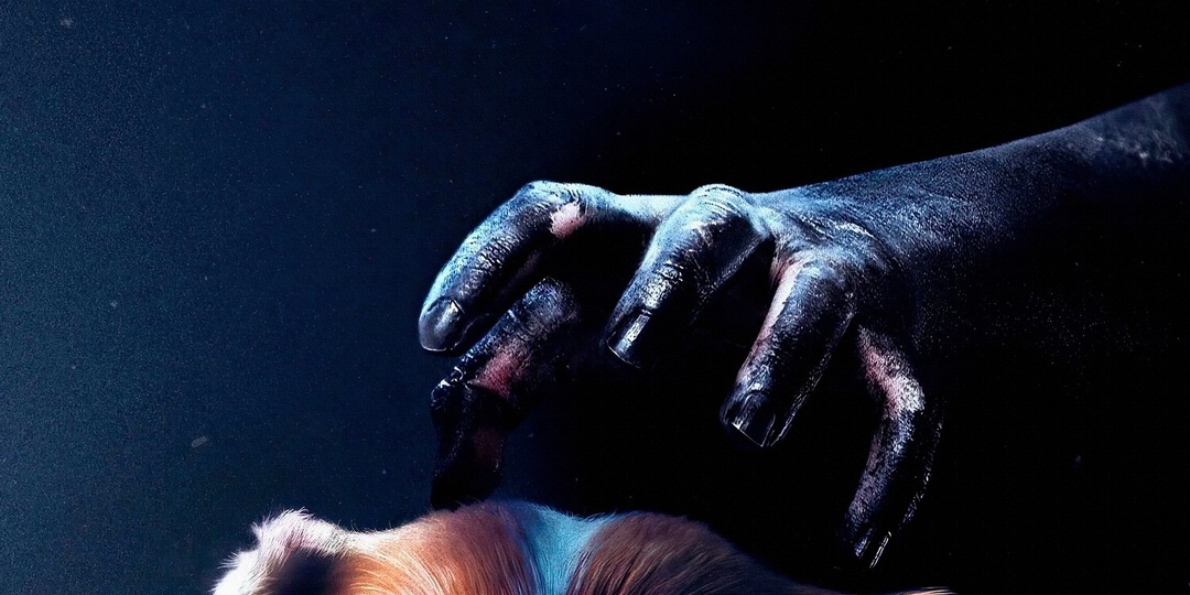 "Глазами пса": такого хоррора мы ещё не видели. Новаторский фильм ужасов, на который стоит обратить внимание ценителям жанра