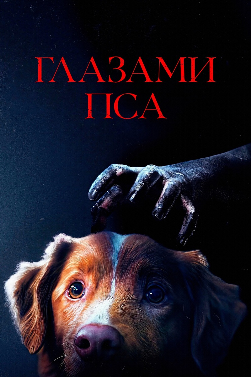 Постер фильма "Глазами пса" (реж. Бен Леонберг, 2025 г.)