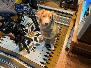 Инди на съёмочной площадке 