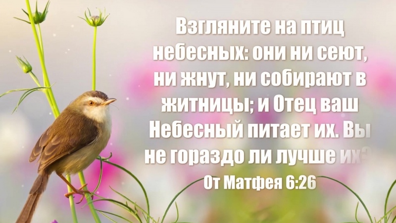 Проработка страхов по Евангелию или "Как у меня ушел страх остаться без средств к существованию. И не только"