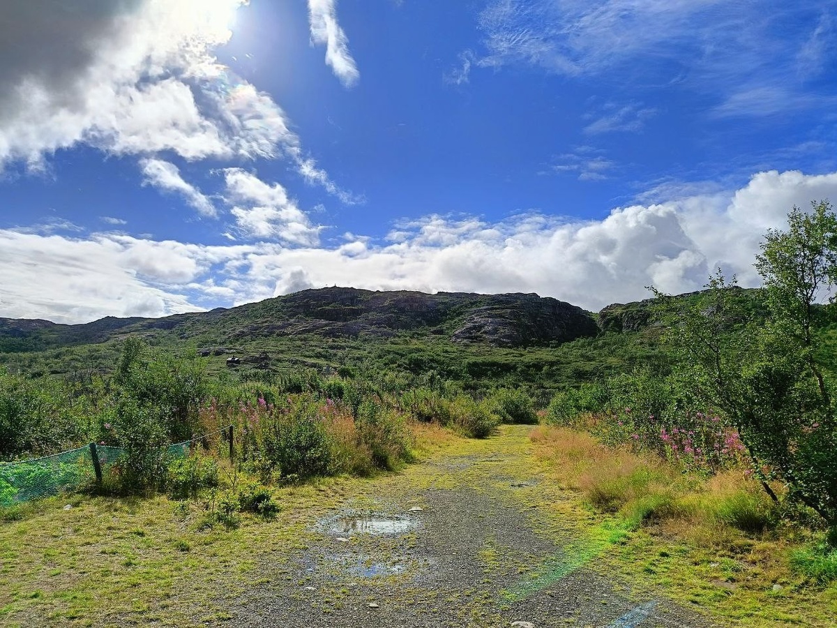 фото нашего корреспондента (Игорь Стэн)