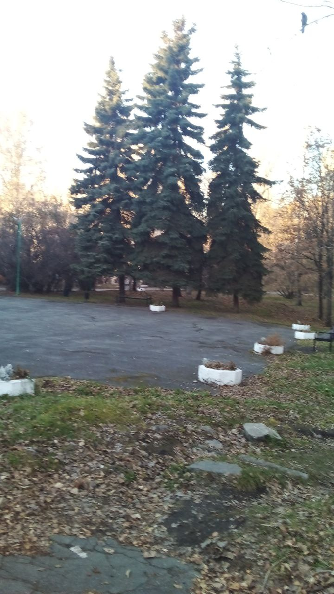 Харитоновскиий парк. Фото автора