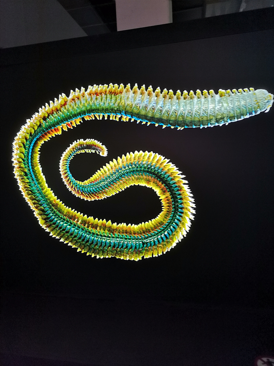 Водяной червь. Фотофестиваль дикой природы "Золотая чепераха", Москва, Новая Третьяковка, декабрь 2025.