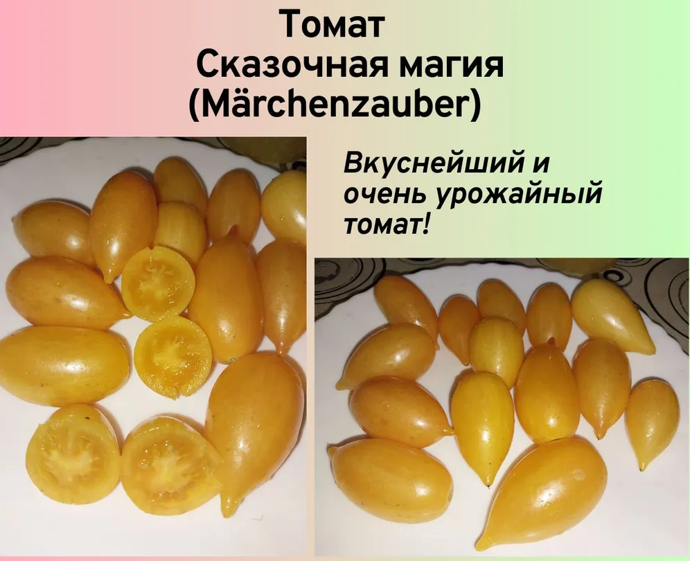 фото Озон, цена семян 265 рублей