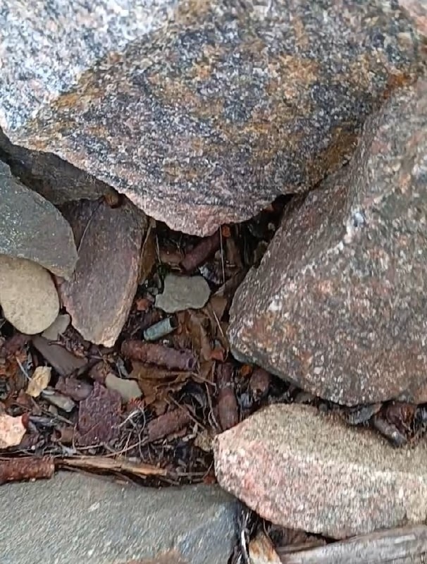 фото нашего корреспондента (Игорь Стэн)