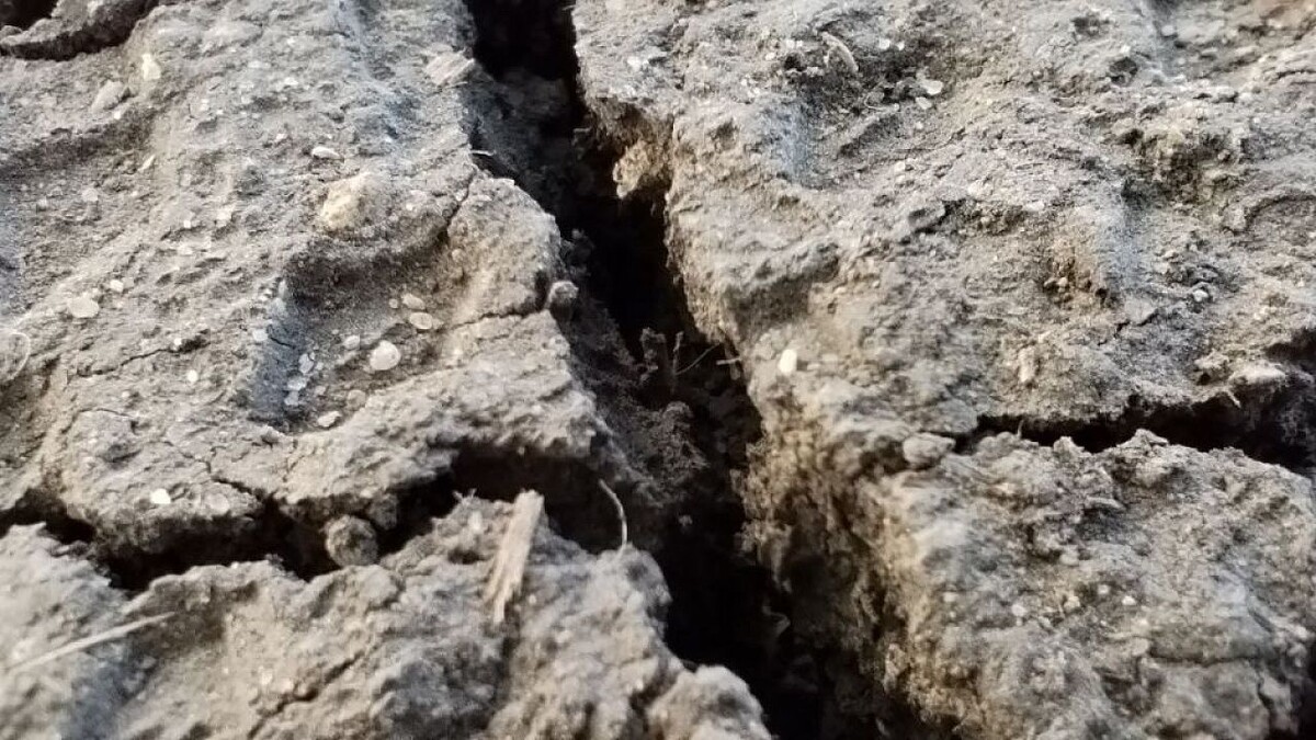    Фото: телеканал «Краснодар»