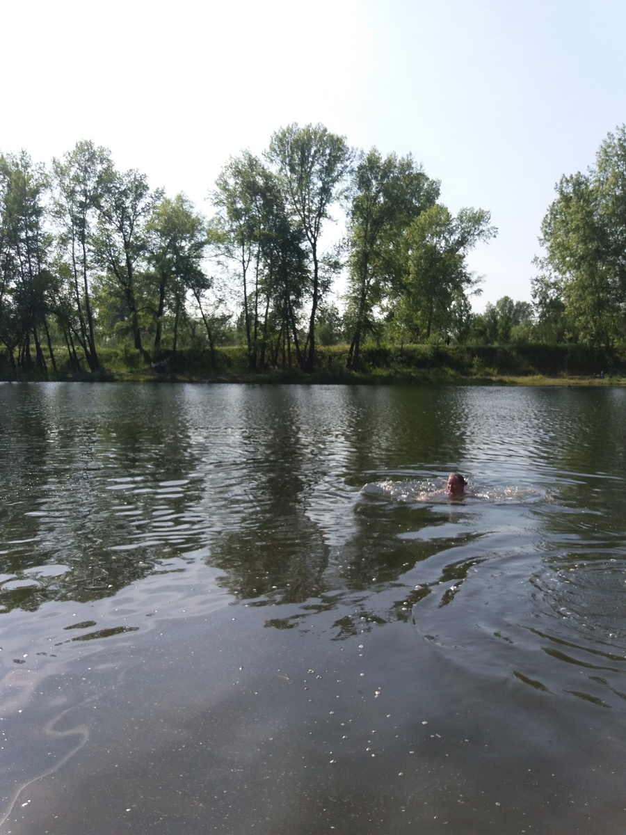Такой была одна из заводей на острове. Раньше купаться можно было везде