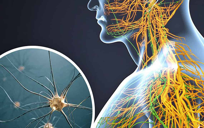 Дисфункция блуждающего нерва