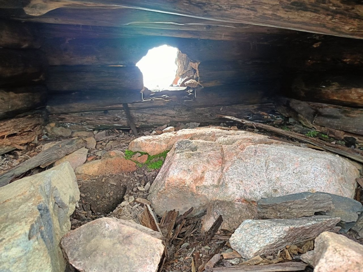 фото нашего корреспондента (Игорь Стэн)