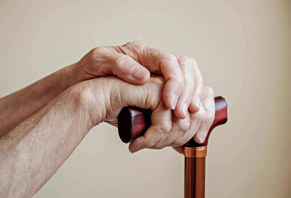    Shutterstock/FOTODOM