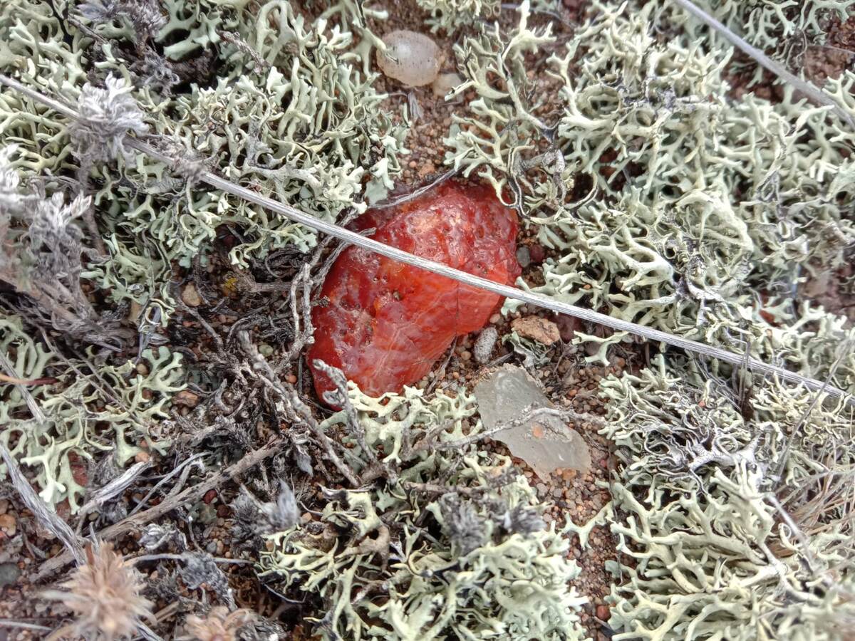 Карнеоловый агат